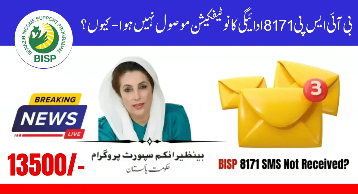 How to Fix BISP 8171 Payment Notification Not Received Issue