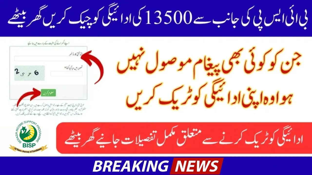 8171 Web Portal 2025 Update – Verify CNIC Online for 13500 Payment